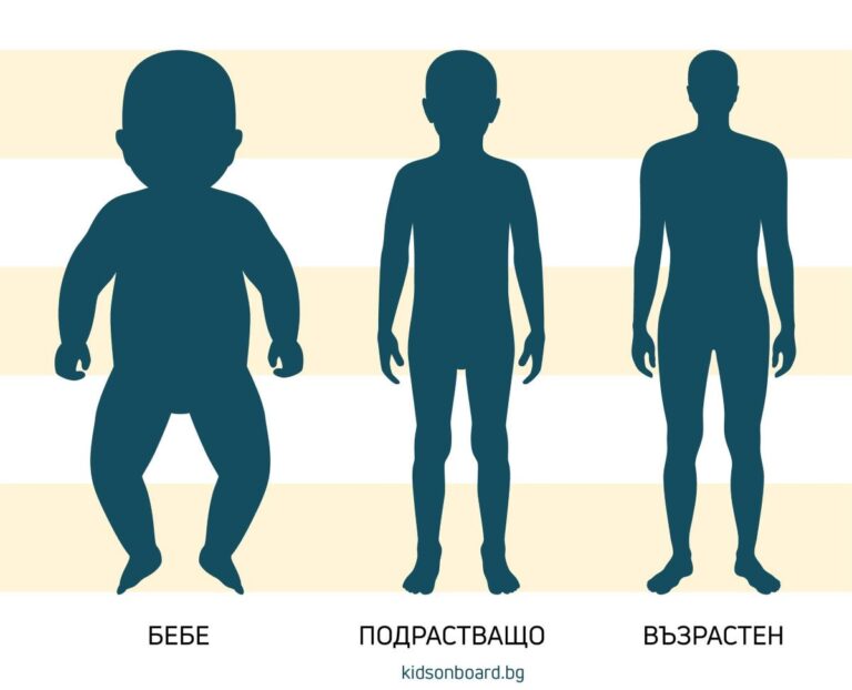 ОБРАТНО НА ДВИЖЕНИЕТО – 5 ПЪТИ ПО-БЕЗОПАСНО